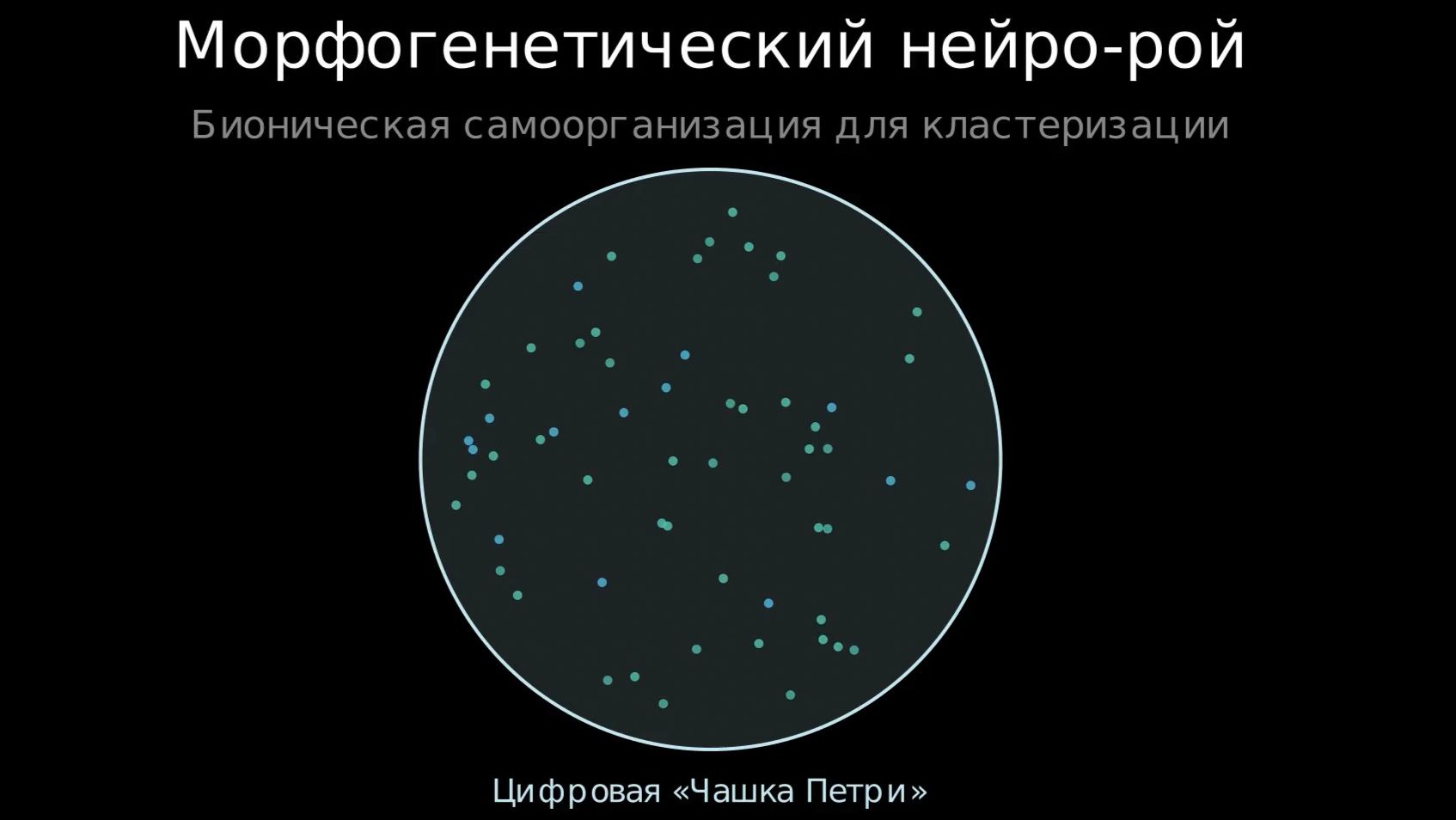Морфогенетический Нейро-Рой / Моделирование смотреть онлайн