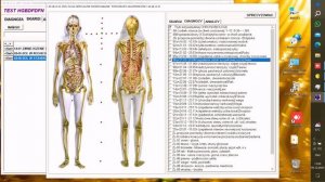 Алгоритм работы с ПО ИМАГО ДТ от разработчика технологии, профессора Юрия Бута