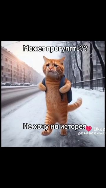 10 сентября 2025 г. смотреть онлайн
