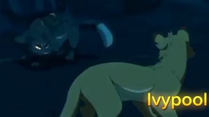 Огнезвёзд 🔥