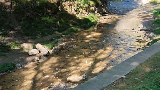 Речка в парке Кисловодска смотреть онлайн