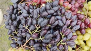 ПОСЛЕДНЯЯ СРЕЗКА ЯГОДЫ 2025!!!🍇🍇🍇 Telegram, WhatsApp и Vlber +79528500417. ТЕЛ. +79054033245.