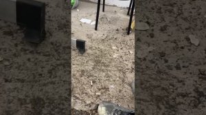 Дом из пенопласта и тепловизор. 2 часть