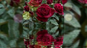 С Днём Рождения Виктория