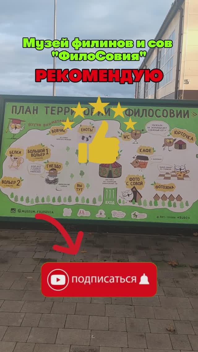 МУЗЕЙ ФИЛИНОВ И СОВ! Часть 2 - Продолжаем путешествие! 🦉