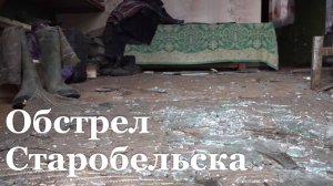 Украинский дрон атаковал подворье в Старобельском районе