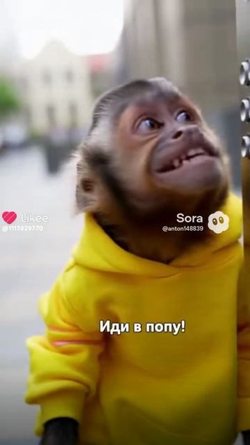 обезьянка смотреть онлайн