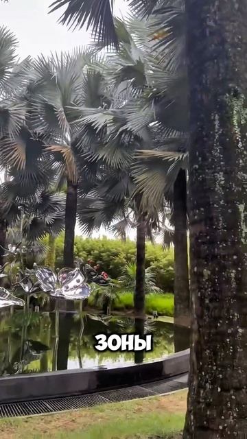 Сады у залива Сингапур #dreamway #сингупур #shorts #путешествия #туризм #природа #тревелвлог #азия смотреть онлайн