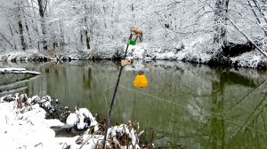 Рыбалка 10 декабря на 10 донок закидушек на малой реке днём на новом месте
