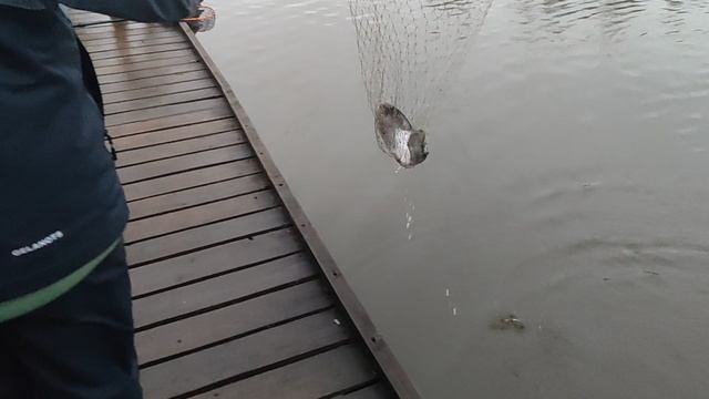 Основной водоём. Блесну. смотреть онлайн