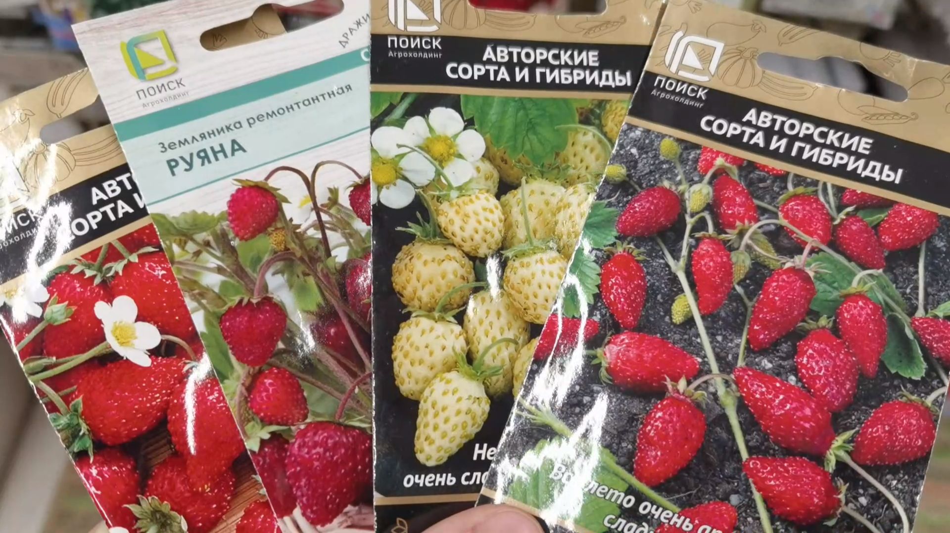 Что посеять в декабре? Обязательно посадите эти культуры в декабре на рассаду для раннего урожая смотреть онлайн