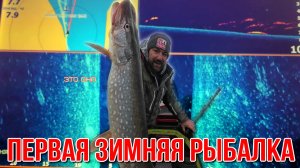 Низовья Дона, судаки, щуки клёвая рыбалка, декабрь