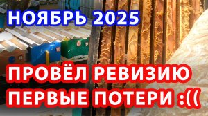 РЕВИЗИЯ НА ПАСЕКЕ ПЕРВЫЕ ПОТЕРИ