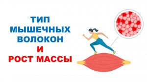 Мышечная композиция и рост мышечной массы / Научный эксперимент