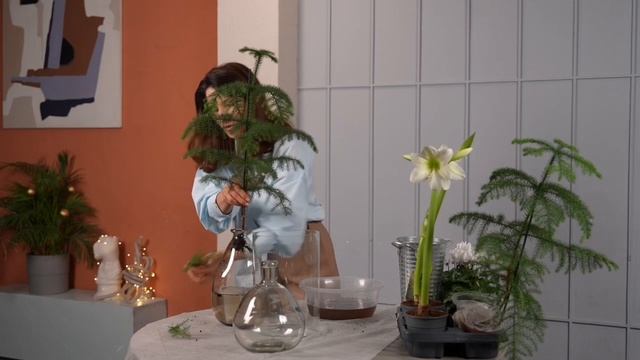 ЁЛКИ, которые НЕ ДЛЯ ВСЕХ 🫢😲🤤🌲 смотреть онлайн