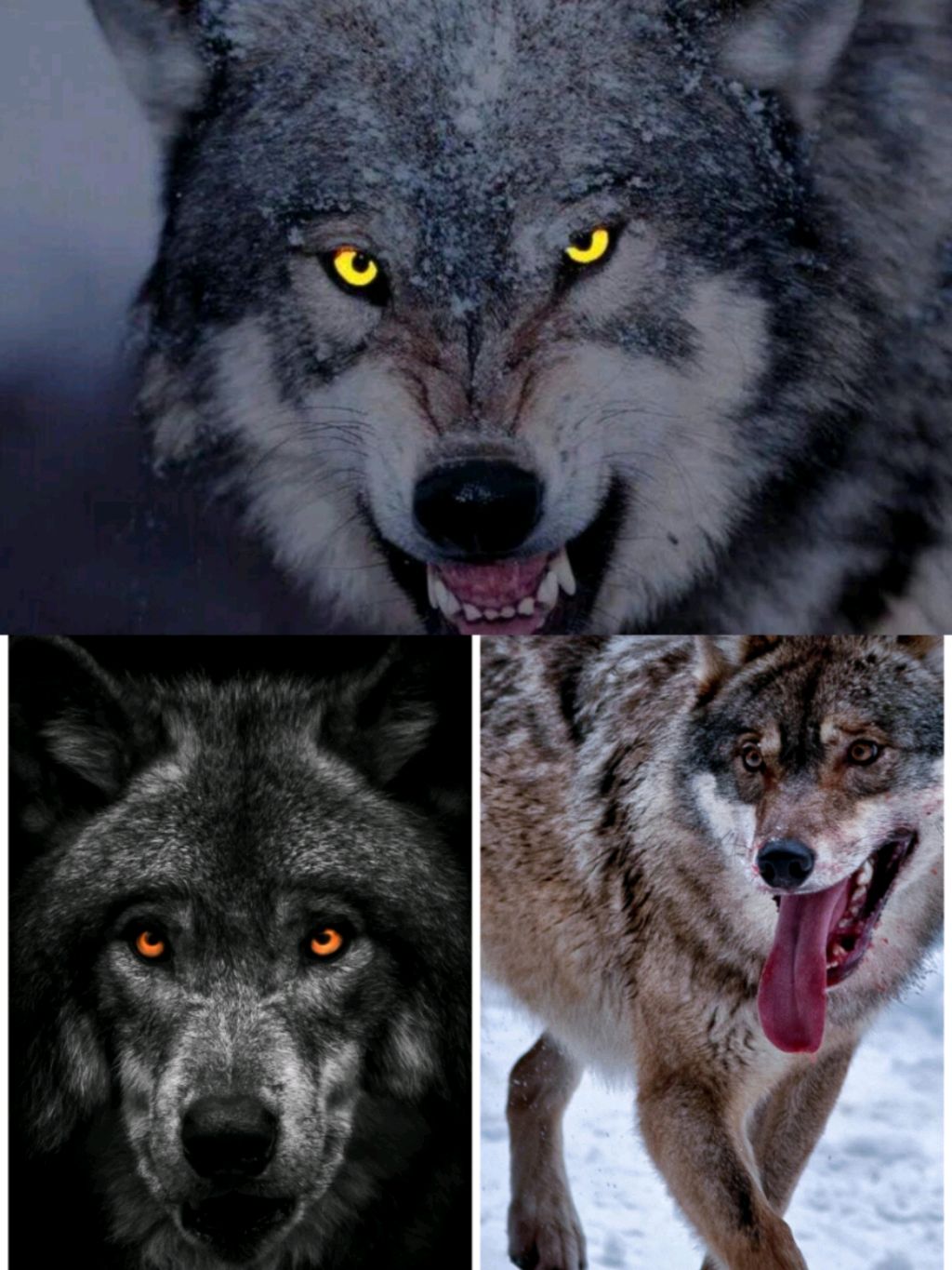 Тут я пакажу как выигравать в Bubbu