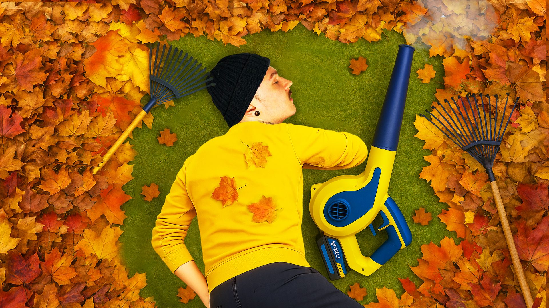 Я ДОЛЖЕН СОБРАТЬ ВСЕ ОСЕННИЕ ЛИСТЬЯ ВО ДВОРЕ... (Leaf it Alone) смотреть онлайн