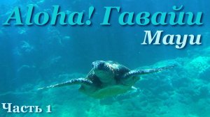 Гавайские острова. Остров Мауи. Капалуа.