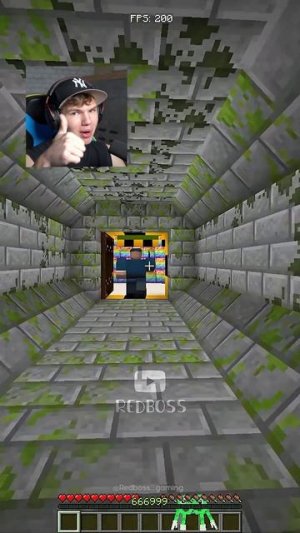 Твой ВЫБОР Решит ВСЁ В Майнкрафт! 😳🔥 #shorts #шортс #minecraft #майнкрафт #майн #прикол #мем #рофл