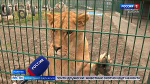 В зоопарке Нальчика завершилась подготовка к зимнему сезону