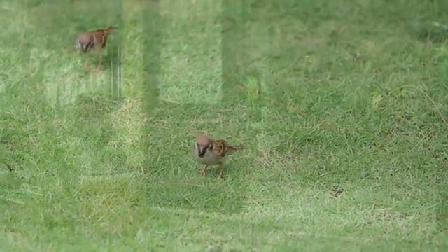 BAMBOO VILLAGE BEACH RESORT & SPA 4* | 316000.ru - лучшие цены! смотреть онлайн