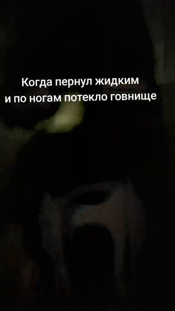 23 сентября 2025 г. смотреть онлайн