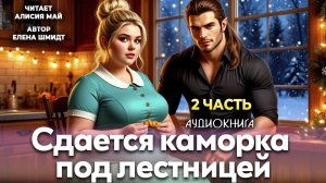 Аудиокнига "Сдается каморка под лестницей" 2 часть