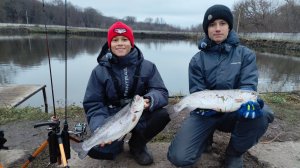 Браконьеры багрят рыбу😲 И мы докатились😔