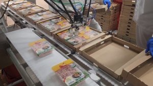 Укладка лотков с куриным фаршем