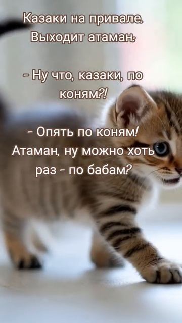 Анекдоты