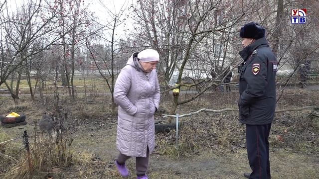 Содержание собак смотреть онлайн