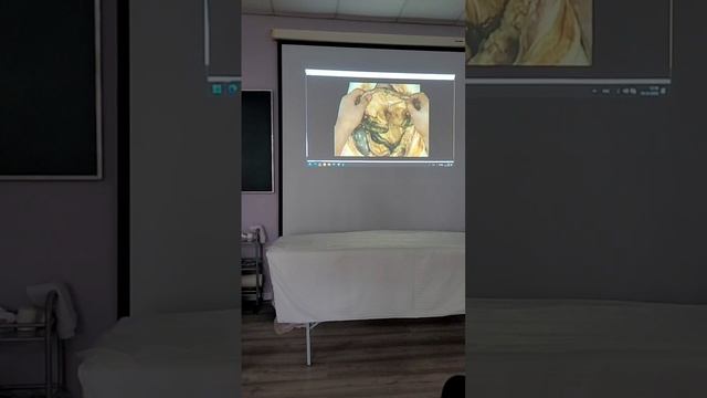 Семинар в г.Горячий Ключ-1 ступень,декабрь2025 (часть 5) смотреть онлайн