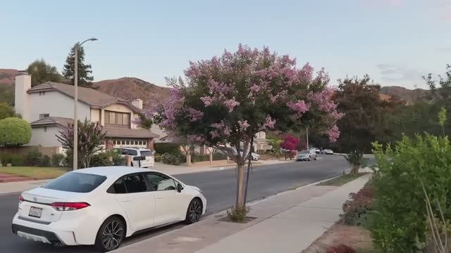 Рабочий День Курьера в США смотреть онлайн