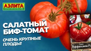 Салатный биф-томат БУФФАЛОСТЕЙК F1 - очень крупные плоды!
