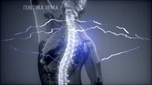 2,5 часа — 7 мощных матриц Петра Гаряева для суставов и хрящевой ткани