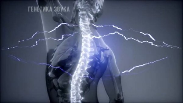 2,5 часа — 7 мощных матриц Петра Гаряева для суставов и хрящевой ткани