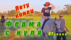 Конец лета. Бродяга пес. Доделываем летние дела. Строим новый шелтер. Провожаем помощников.