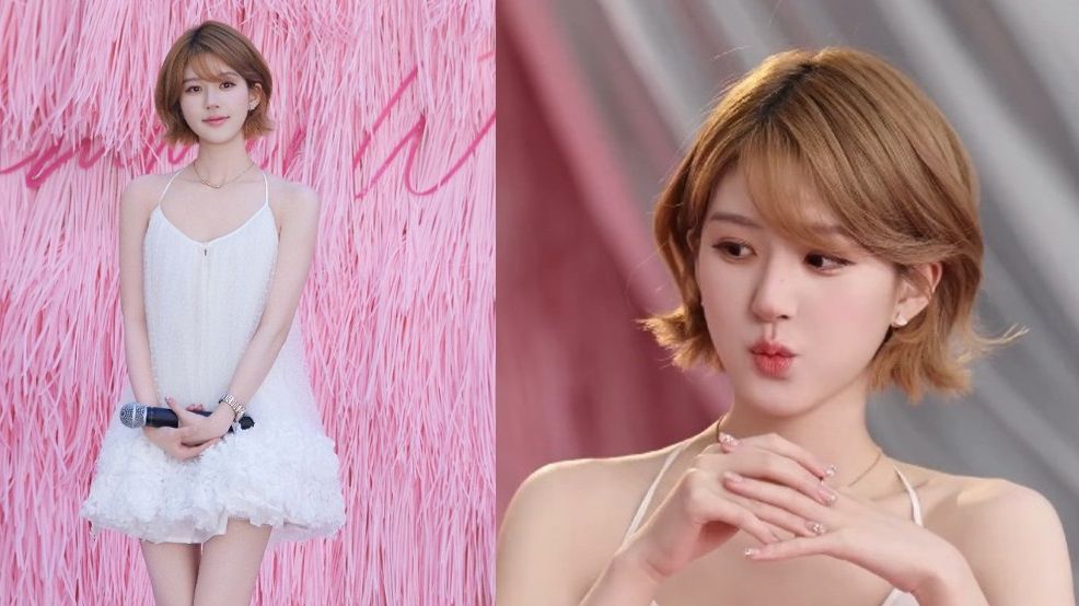 Как живет Чжао Лу Сы (Zhao Lusi) и Сколько Онa Зарабатывает смотреть онлайн