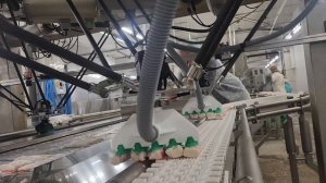 Укладка крабовых палочек дельта-роботами Невлабс