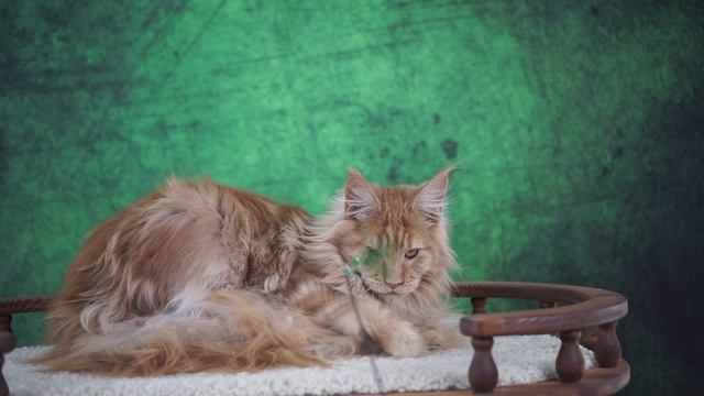 Don Juan смотреть онлайн