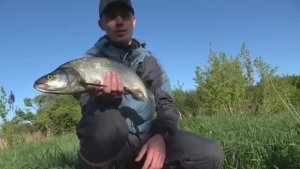 ОТ ЭТИХ ПОКЛЁВОК ЗАХВАТЫВАЕТ ДУХ И МУРАШКИ ПО КОЖЕ! Рыбалка на утренней зорьке