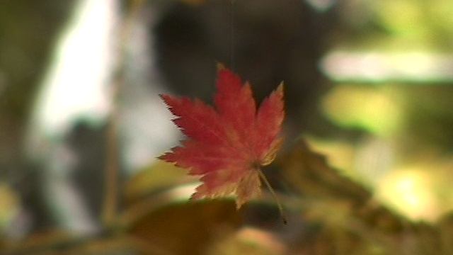 "Болезнь Мастера". Притча