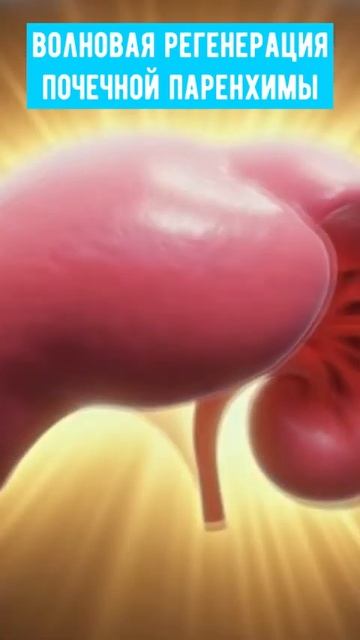 Матрица Гаряева ⎢ Чистые почки без камней и отёков