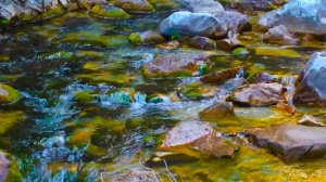 ПРОДЛЕНИЕ ЖИЗНИ с помощью Частоты 9.5 Гц.