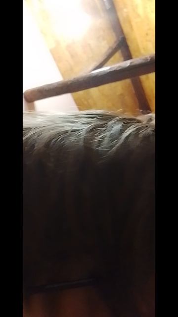 764.mp4 смотреть онлайн