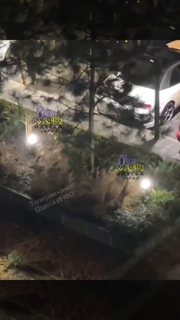 теперь курьерит в зоне боевых действий со своей сиреной смотреть онлайн