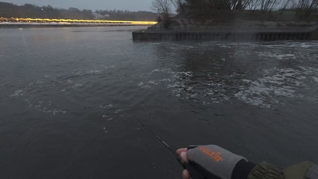 Курьяновский сброс 11.12.2025г.