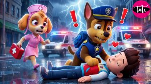 Щенячий патруль и Маршалл. Залипательное видео. Мультфильм для детей и малышей. Анимация