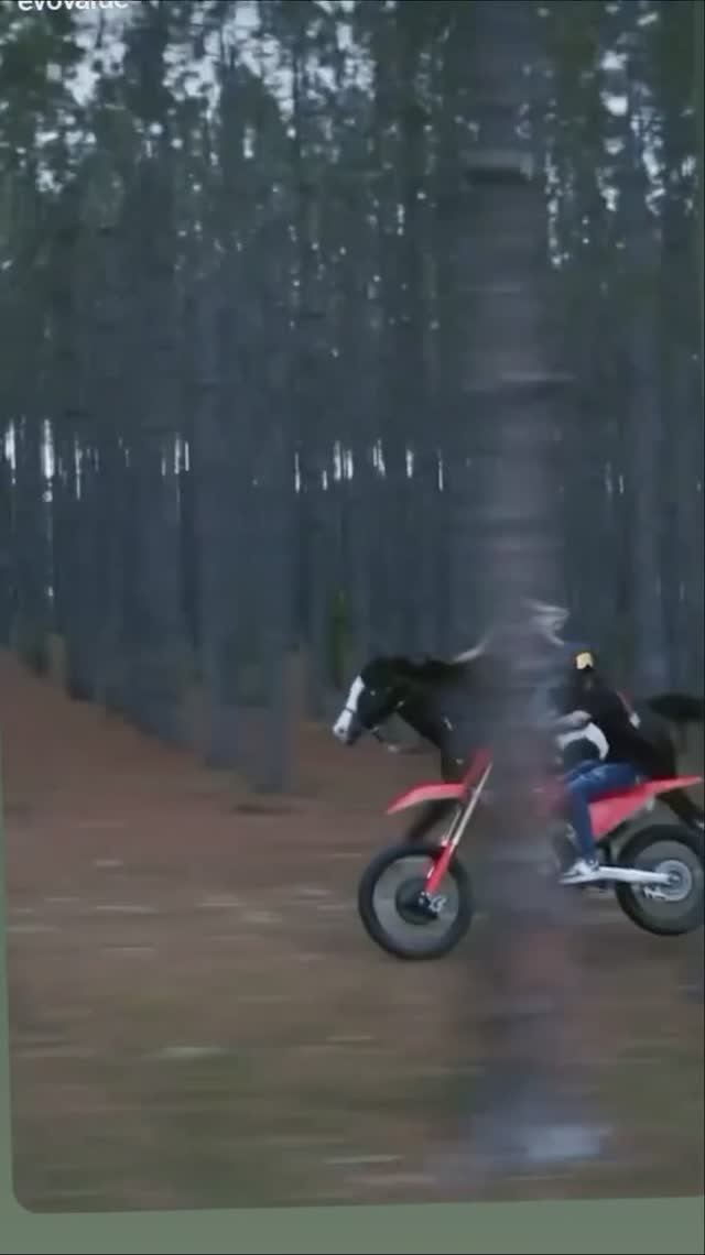 Самые опасные моменты в спорте, снятые на камеру #shorts #экстремальныйспорт #вирусное смотреть онлайн