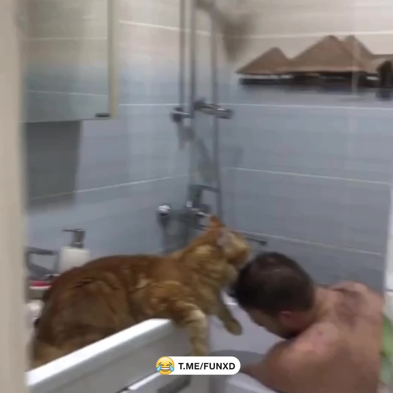 У всех свои тайны😁 смотреть онлайн